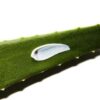 Cosrx Aloe Soothing Sun Cream SPF50+ on aloevera leaf