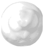 Soap and Glory Fab Pore Purifying Foam Cleanser Texture