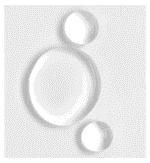 The Inkey List Hyaluronic Acid Serum texture