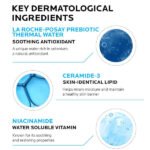 La Roche-Posay Toleriane Double Repair Face Moisturizer key ingredients