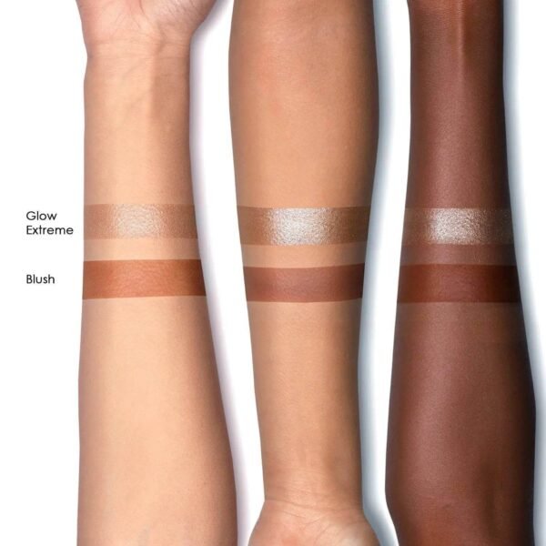 Natasha Denona MINI BRONZE & GLOW Bronze & Highlighting Powder swatch