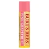 Burts bees lip balm pink grapefruit in pakistan