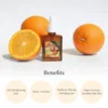 Dr Althea - VITAMIN C BOOSTING SERUM-30ML benefits