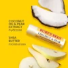 burts bees coconut and pear lip balm in pakistan