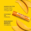 burts bees mango lip balm in pakistan