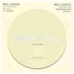 WishfulYo Glow AHA and BHA Facial Enzyme Scrub Sample 3 ML - Image 2