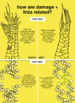 K18 molecular repair hair oil benefits