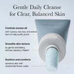 Arencia Hyssop Sebum Control Rice Cake Cleanser 150G - Image 2